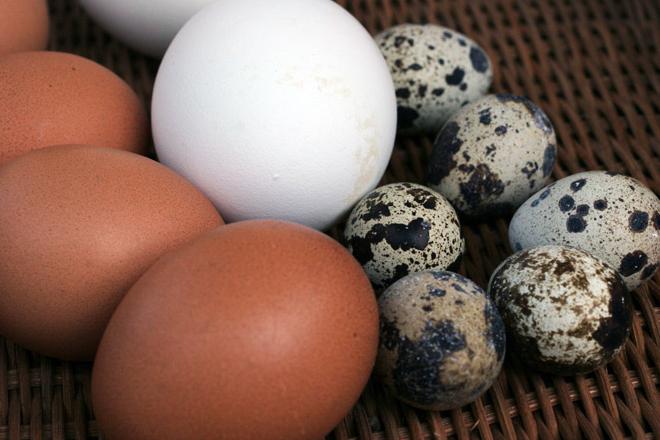 Einige Empfehlungen zur Bestimmung der Frische von Eiern