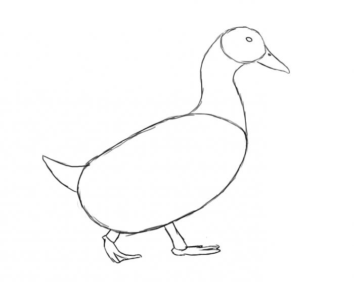 Wie zeichne eine Ente schön?