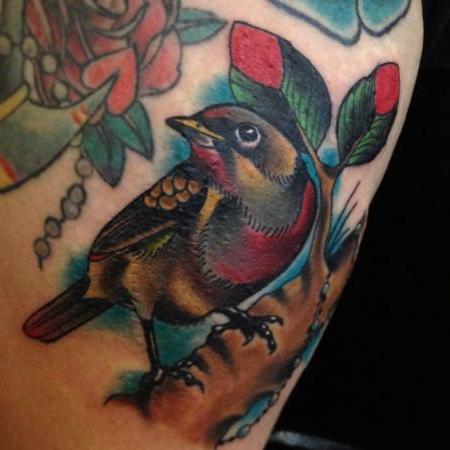 Was ist der Wert von Tattoos für Vögel?