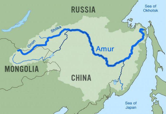 Der Fluss Amur: wirtschaftliche Nutzung und Beschreibung. Der Fluss Amur - Foto