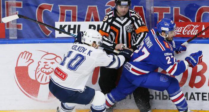 Hockeyspieler Konstantin Volkov: sportliche Erfolge