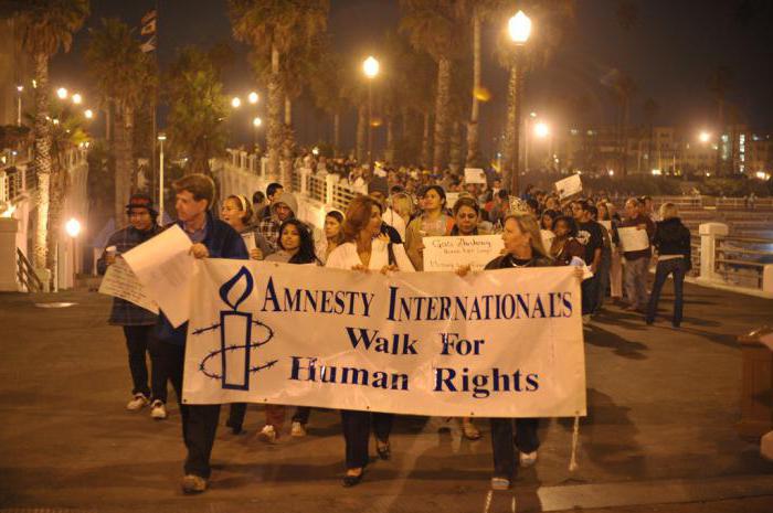 Menschenrechtsorganisationen